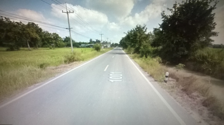 This is a rural road. On the side is a vast field, a small canal and lots of trees because people in the village are farmers. At night, the road is quite dark because some part of road don't have light. This area is very quiet because people usually go to bed early.  Nakhonsawan, Thailand 